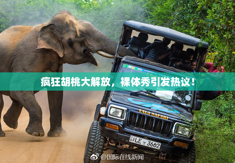 疯狂胡桃大解放，裸体秀引发热议！