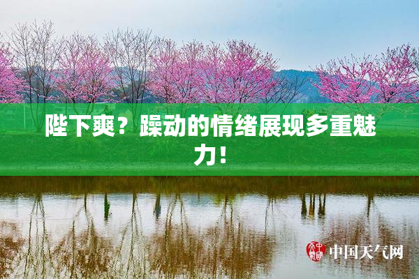 陛下爽？躁动的情绪展现多重魅力！