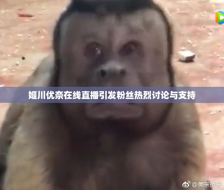 姬川优奈在线直播引发粉丝热烈讨论与支持