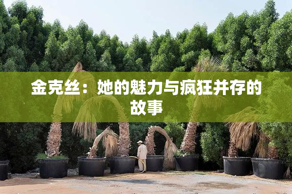 金克丝：她的魅力与疯狂并存的故事
