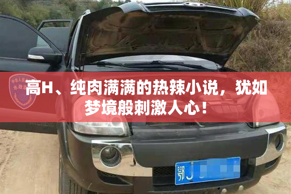 高H、纯肉满满的热辣小说，犹如梦境般刺激人心！