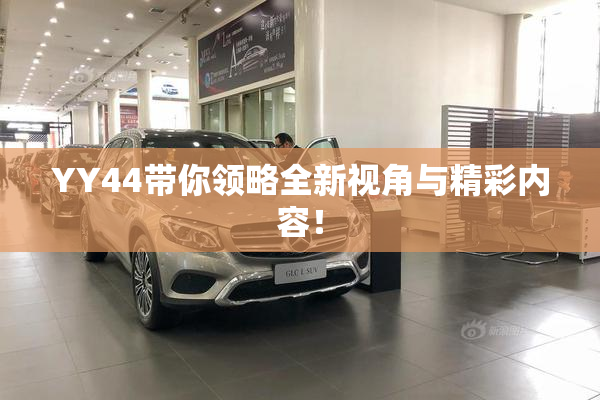 YY44带你领略全新视角与精彩内容！