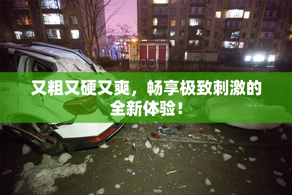 又粗又硬又爽，畅享极致刺激的全新体验！