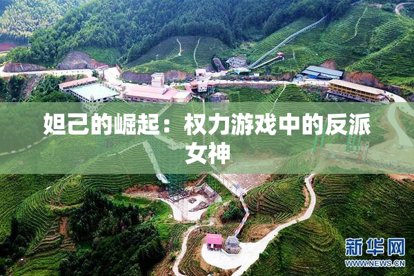 妲己的崛起：权力游戏中的反派女神