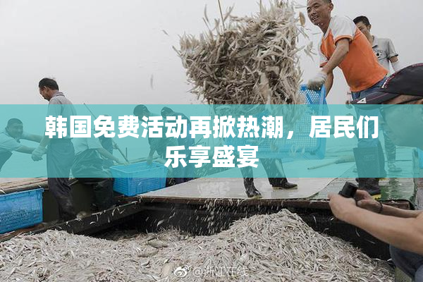 韩国免费活动再掀热潮，居民们乐享盛宴