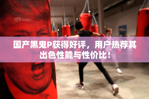 国产黑鬼P获得好评，用户热荐其出色性能与性价比！