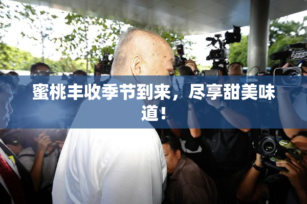 蜜桃丰收季节到来，尽享甜美味道！