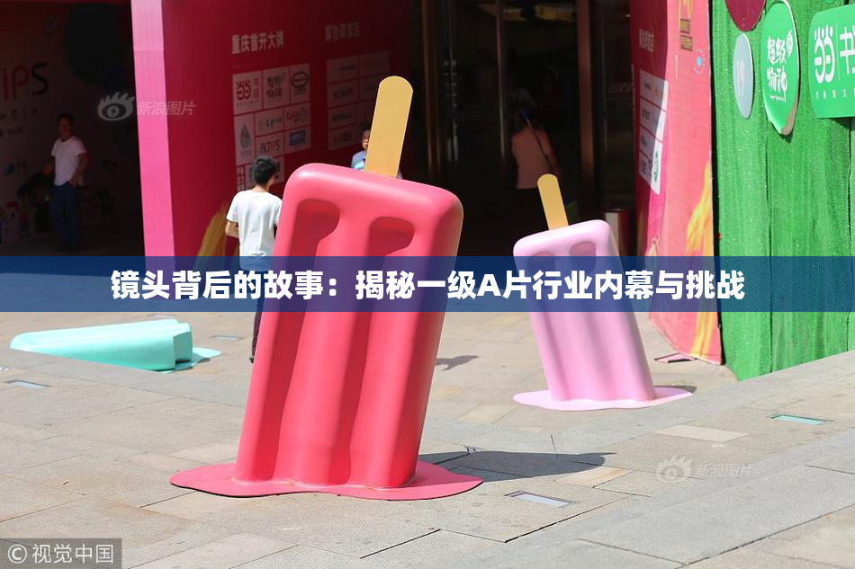 镜头背后的故事：揭秘一级A片行业内幕与挑战