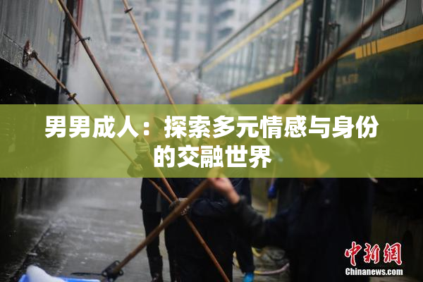 男男成人：探索多元情感与身份的交融世界