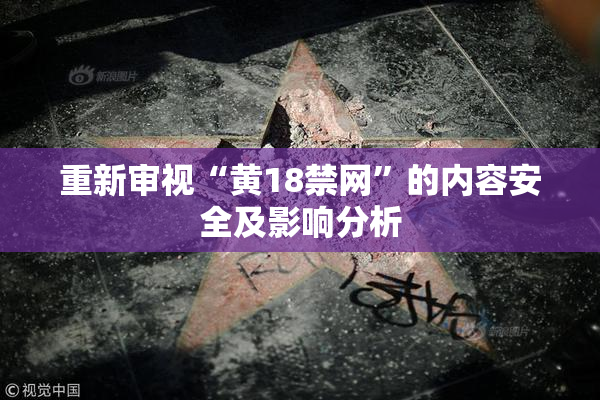 重新审视“黄18禁网”的内容安全及影响分析