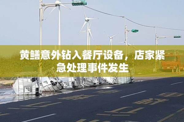 黄鳝意外钻入餐厅设备，店家紧急处理事件发生