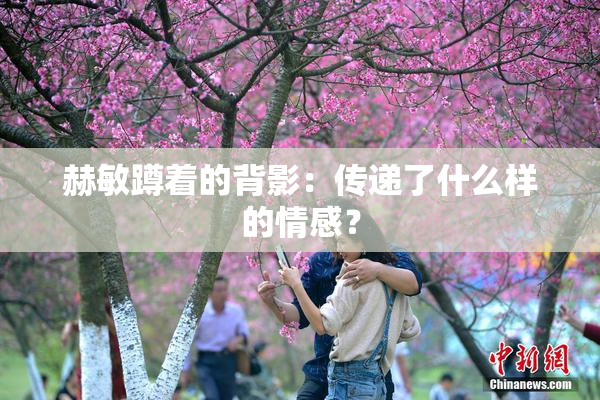 赫敏蹲着的背影：传递了什么样的情感？