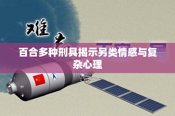 百合多种刑具揭示另类情感与复杂心理