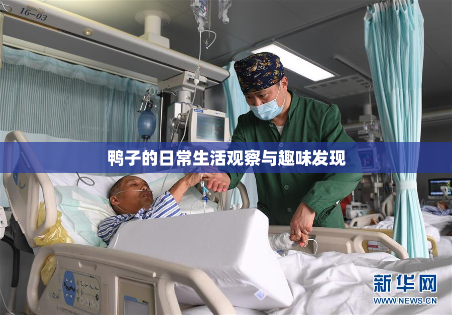鸭子的日常生活观察与趣味发现