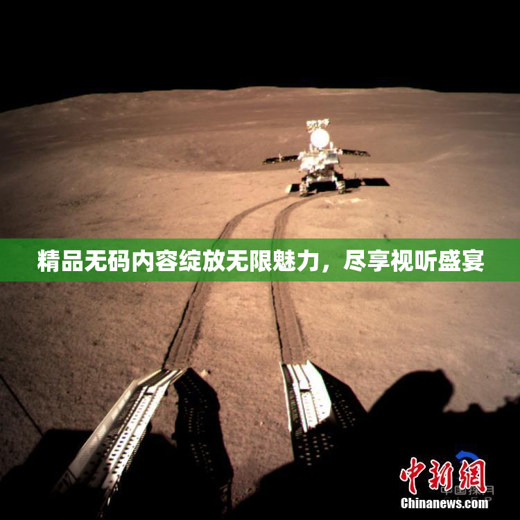 精品无码内容绽放无限魅力，尽享视听盛宴