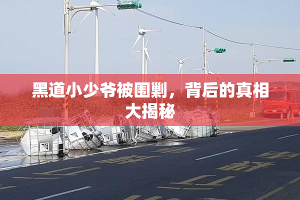黑道小少爷被围剿，背后的真相大揭秘