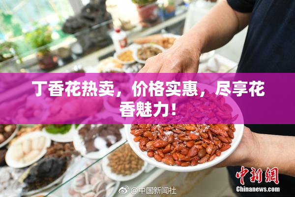 丁香花热卖，价格实惠，尽享花香魅力！