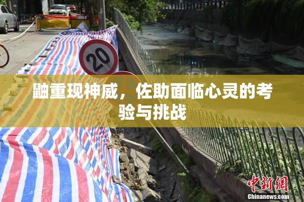鼬重现神威，佐助面临心灵的考验与挑战