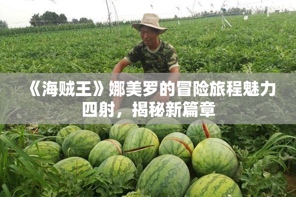 《海贼王》娜美罗的冒险旅程魅力四射，揭秘新篇章