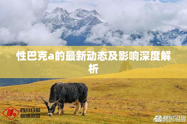 性巴克a的最新动态及影响深度解析