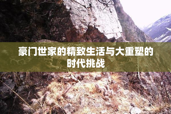 豪门世家的精致生活与大重塑的时代挑战