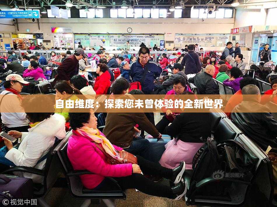 自由维度：探索您未曾体验的全新世界