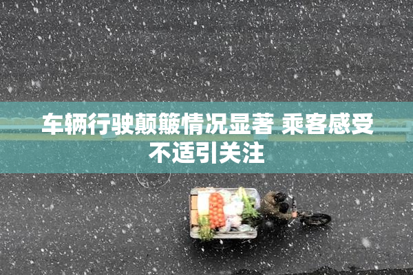 车辆行驶颠簸情况显著 乘客感受不适引关注