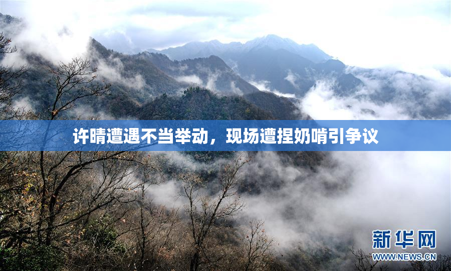 许晴遭遇不当举动，现场遭捏奶啃引争议
