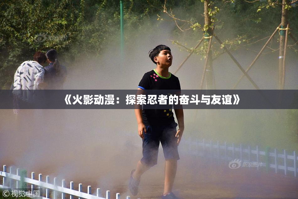 《火影动漫：探索忍者的奋斗与友谊》
