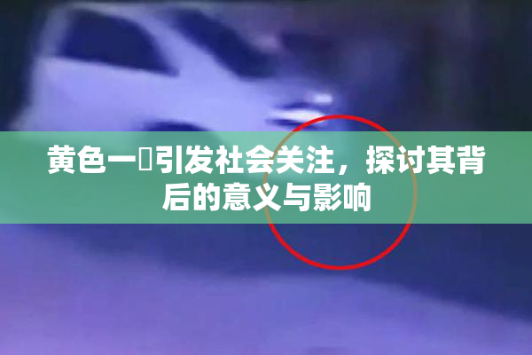 黄色一級引发社会关注，探讨其背后的意义与影响