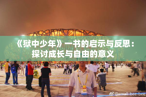 《狱中少年》一书的启示与反思：探讨成长与自由的意义