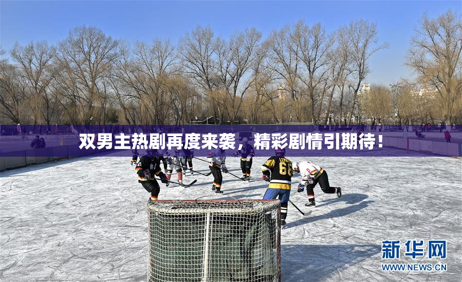双男主热剧再度来袭，精彩剧情引期待！