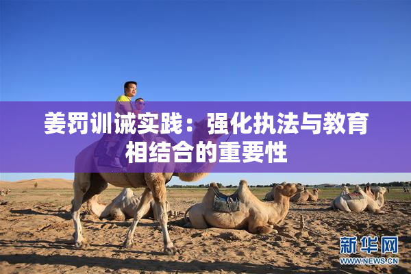 姜罚训诫实践：强化执法与教育相结合的重要性