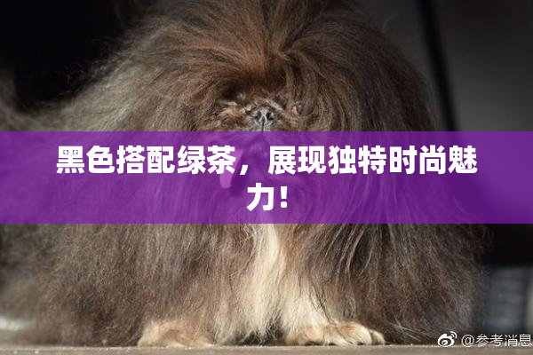 黑色搭配绿茶，展现独特时尚魅力！