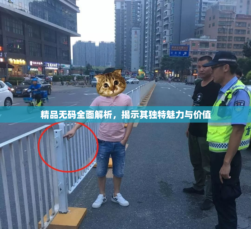 精品无码全面解析，揭示其独特魅力与价值