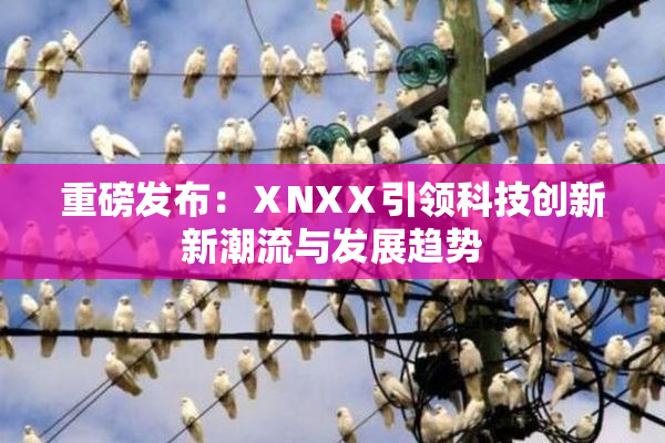 重磅发布：ⅩNXⅩ引领科技创新新潮流与发展趋势
