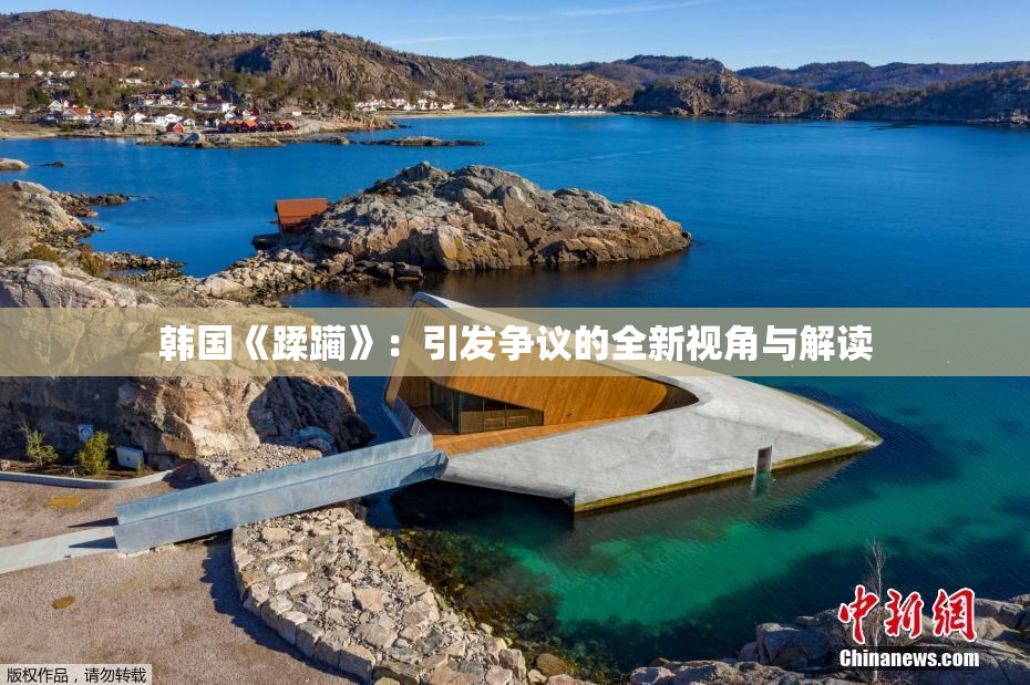 韩国《蹂躏》：引发争议的全新视角与解读