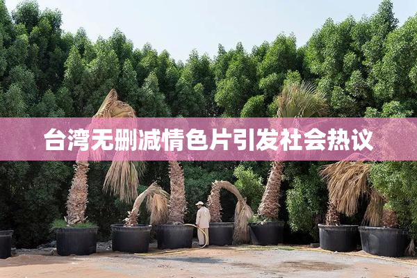 台湾无删减情色片引发社会热议