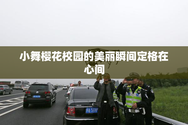 小舞樱花校园的美丽瞬间定格在心间