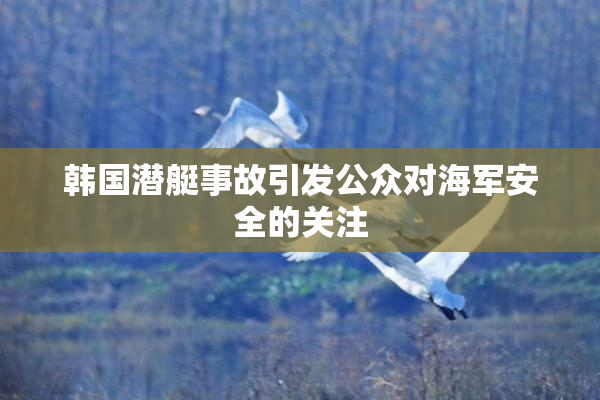 韩国潜艇事故引发公众对海军安全的关注