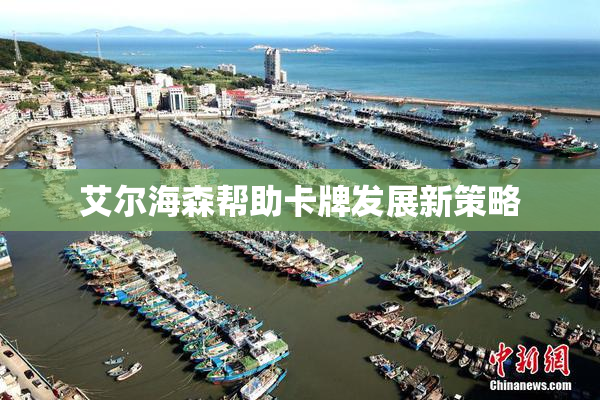 艾尔海森帮助卡牌发展新策略