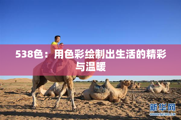 538色：用色彩绘制出生活的精彩与温暖