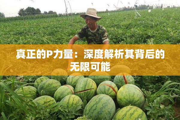 真正的P力量：深度解析其背后的无限可能