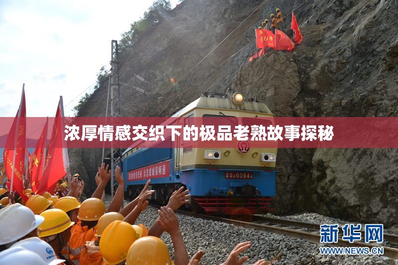 浓厚情感交织下的极品老熟故事探秘
