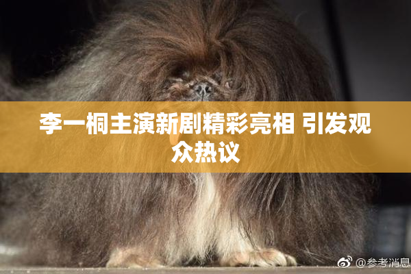 李一桐主演新剧精彩亮相 引发观众热议