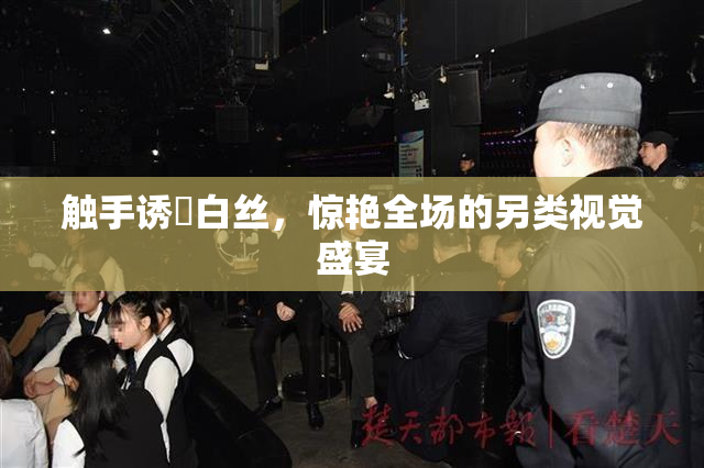 触手诱奷白丝，惊艳全场的另类视觉盛宴