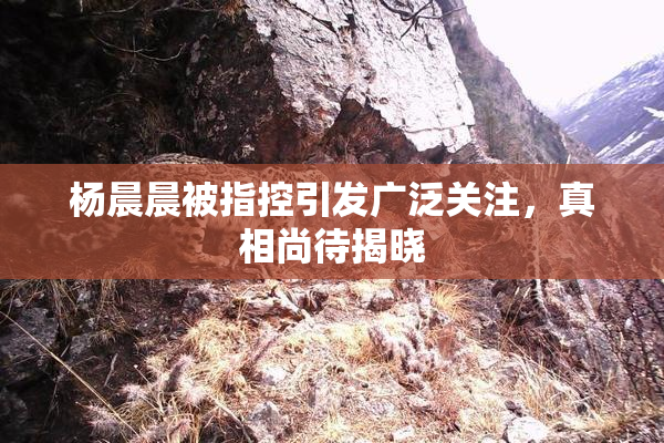 杨晨晨被指控引发广泛关注，真相尚待揭晓
