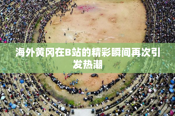 海外黄冈在B站的精彩瞬间再次引发热潮
