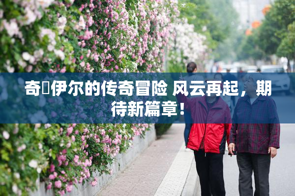 奇犽伊尔的传奇冒险 风云再起，期待新篇章！