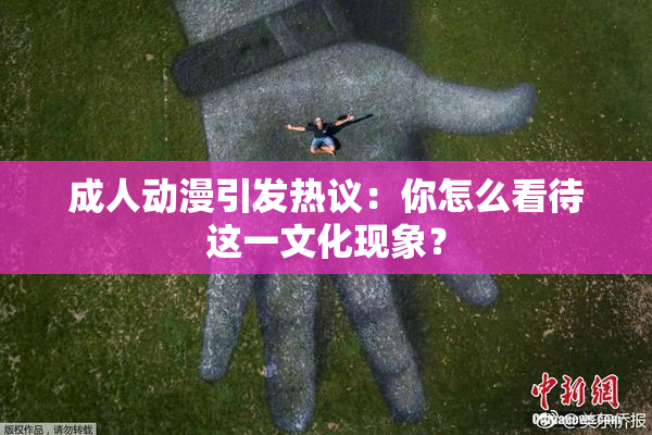 成人动漫引发热议：你怎么看待这一文化现象？